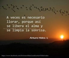 05a1b310c78bf8625d1daf49e3875268